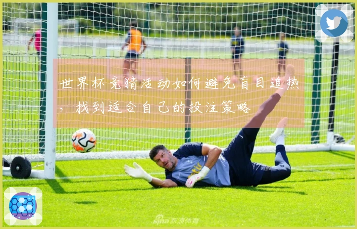 世界杯竞猜活动如何避免盲目追热，找到适合自己的投注策略