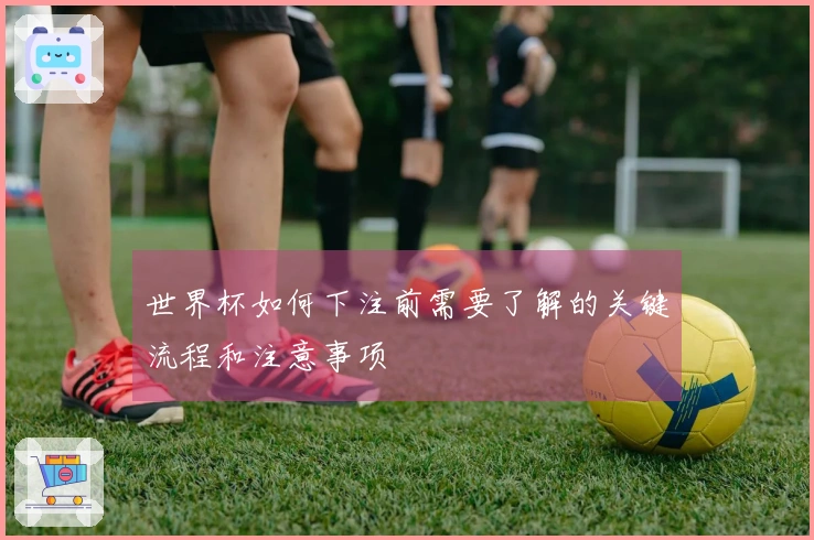 世界杯如何下注前需要了解的关键流程和注意事项