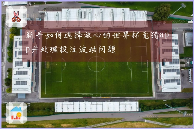 新手如何选择放心的世界杯竞猜app并处理投注波动问题