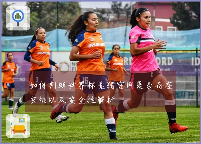 如何判断世界杯竞猜官网是否存在玄机以及安全性解析