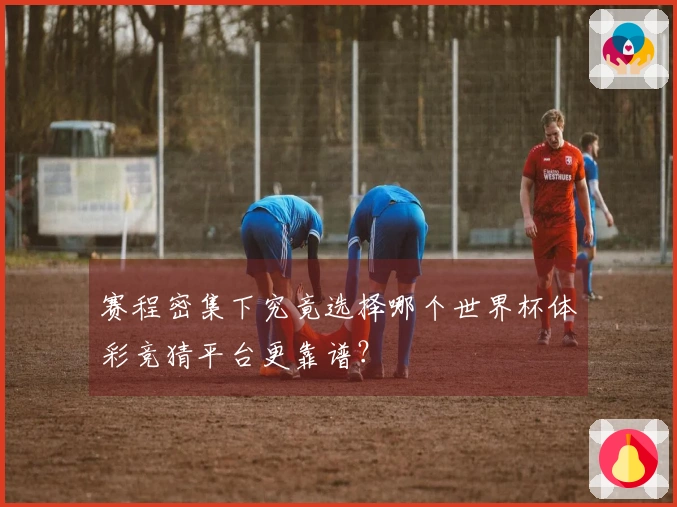 赛程密集下究竟选择哪个世界杯体彩竞猜平台更靠谱？