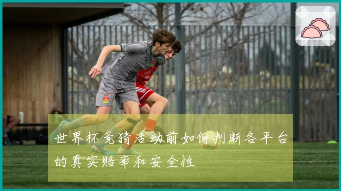 世界杯竞猜活动前如何判断各平台的真实赔率和安全性