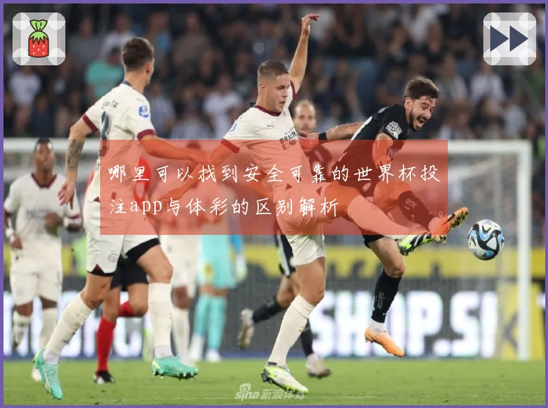 哪里可以找到安全可靠的世界杯投注app与体彩的区别解析