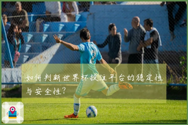 如何判断世界杯投注平台的稳定性与安全性？