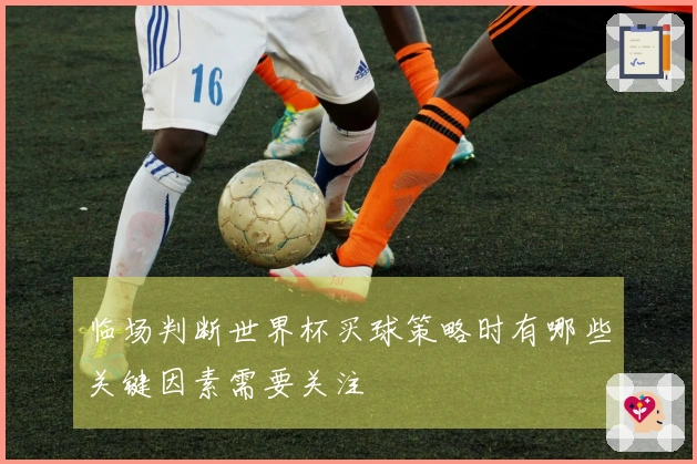 临场判断世界杯买球策略时有哪些关键因素需要关注