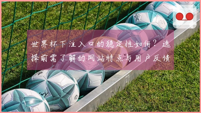 世界杯下注入口的稳定性如何？选择前需了解的网站特点与用户反馈
