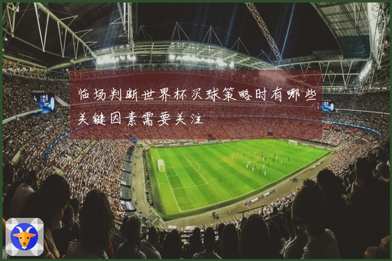 临场判断世界杯买球策略时有哪些关键因素需要关注
