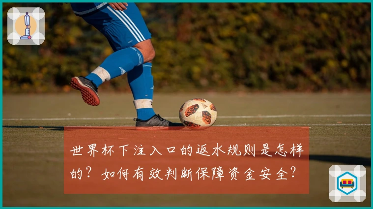 世界杯下注入口的返水规则是怎样的？如何有效判断保障资金安全？