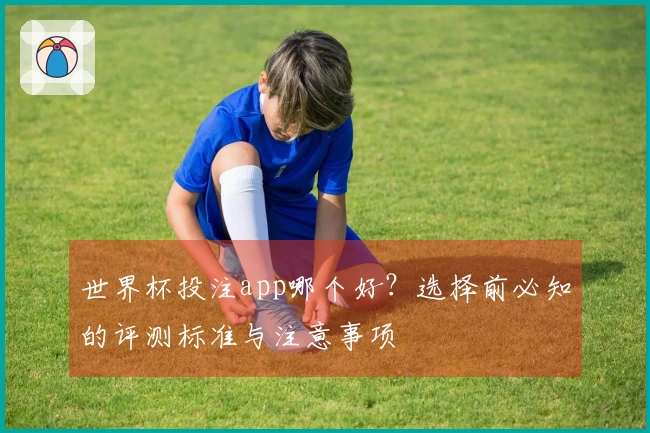 世界杯投注app哪个好？选择前必知的评测标准与注意事项