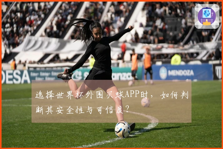 选择世界杯外围买球APP时，如何判断其安全性与可信度？