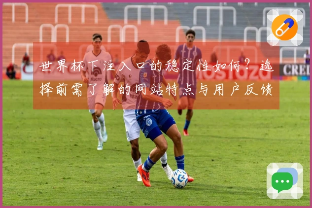 世界杯下注入口的稳定性如何？选择前需了解的网站特点与用户反馈