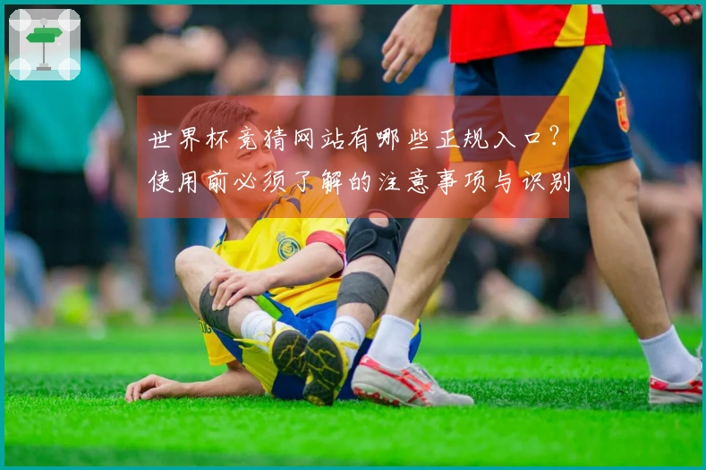 世界杯竞猜网站有哪些正规入口？使用前必须了解的注意事项与识别技巧