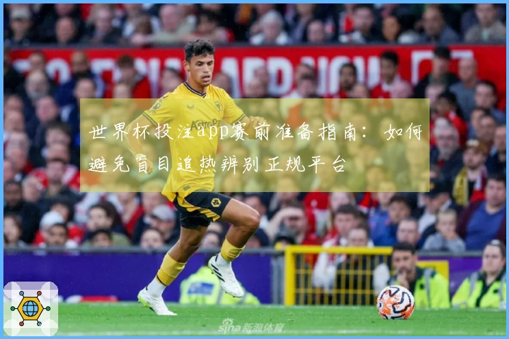 世界杯投注app赛前准备指南：如何避免盲目追热辨别正规平台