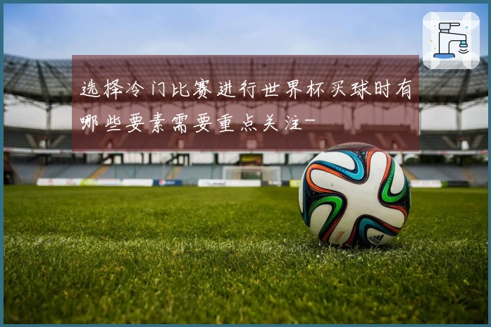 选择冷门比赛进行世界杯买球时有哪些要素需要重点关注-