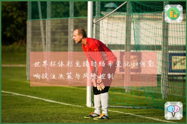 世界杯体彩竞猜时赔率变化如何影响投注决策与风险控制