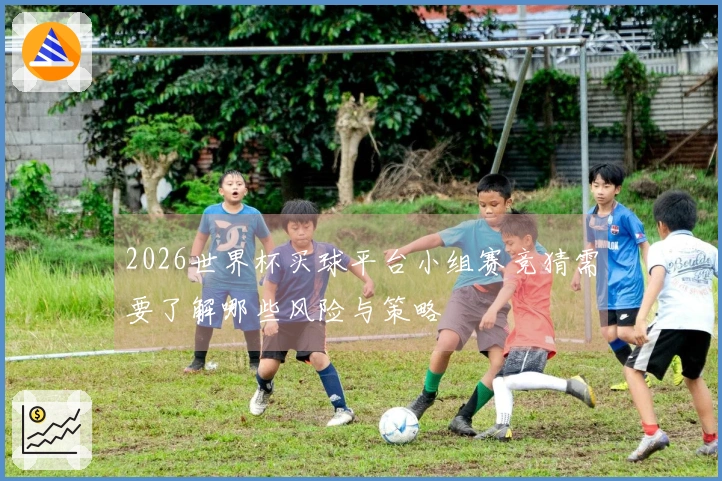 2026世界杯买球平台小组赛竞猜需要了解哪些风险与策略