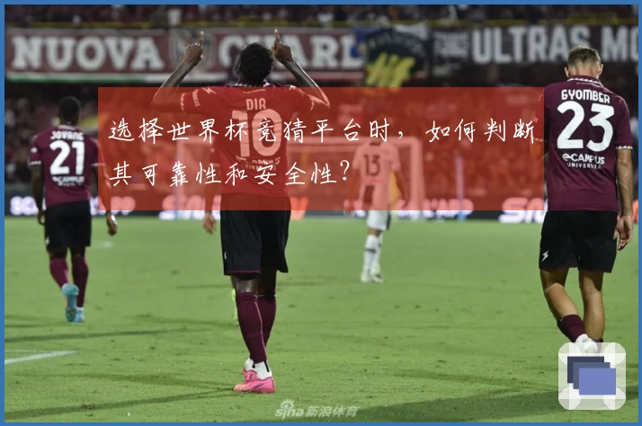 选择世界杯竞猜平台时，如何判断其可靠性和安全性？