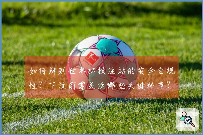 如何辨别世界杯投注站的安全合规性？下注前需关注哪些关键环节？