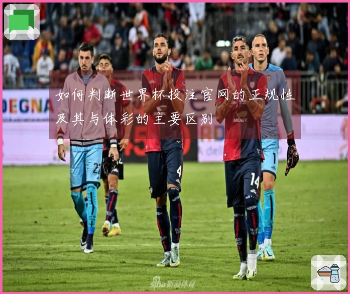 如何判断世界杯投注官网的正规性及其与体彩的主要区别