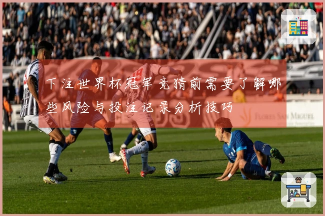 下注世界杯冠军竞猜前需要了解哪些风险与投注记录分析技巧