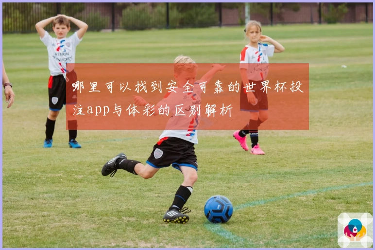 哪里可以找到安全可靠的世界杯投注app与体彩的区别解析